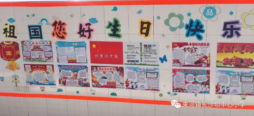 奥利维亚收养猫
