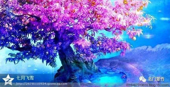 若待上林花似锦，出门俱是看花人